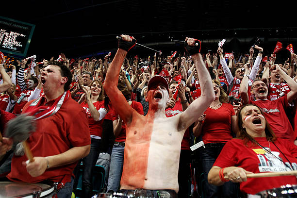 迪洛伦佐的 迪洛伦佐的